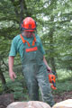 Click to see it big Ich mit Kettensäge, Impression aus dem Wald